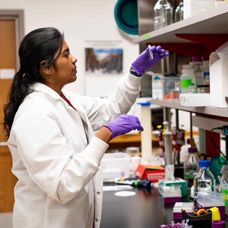 woman works with vials in laboratory